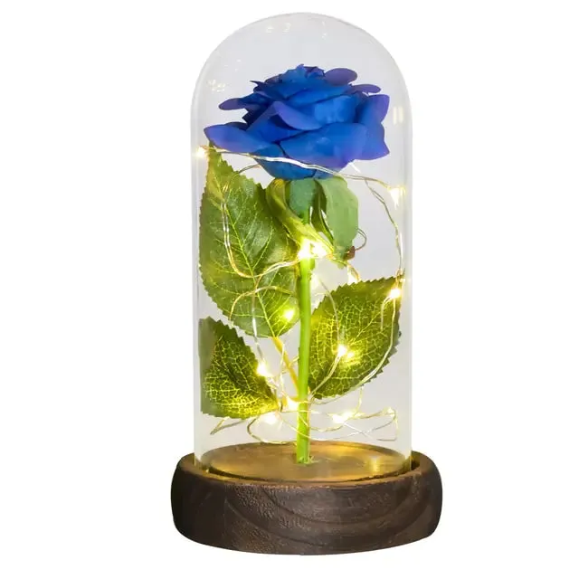 Beauty And The Beast Preserved Roses In Glass