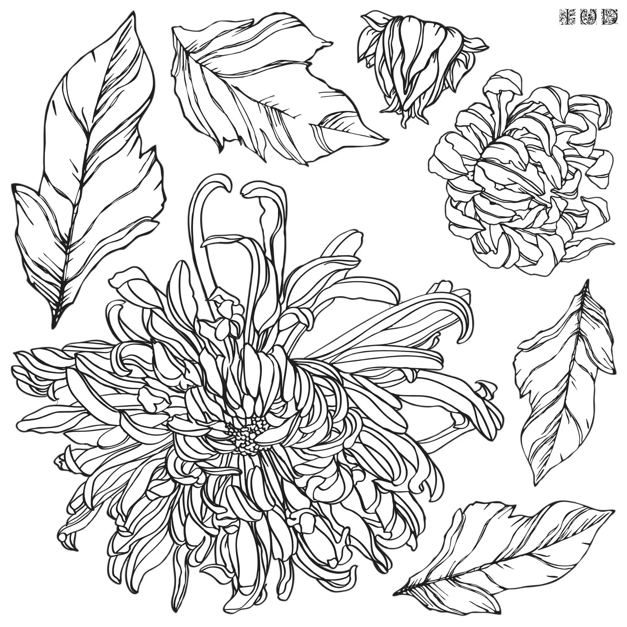 Chrysanthemum Decor Stamp™