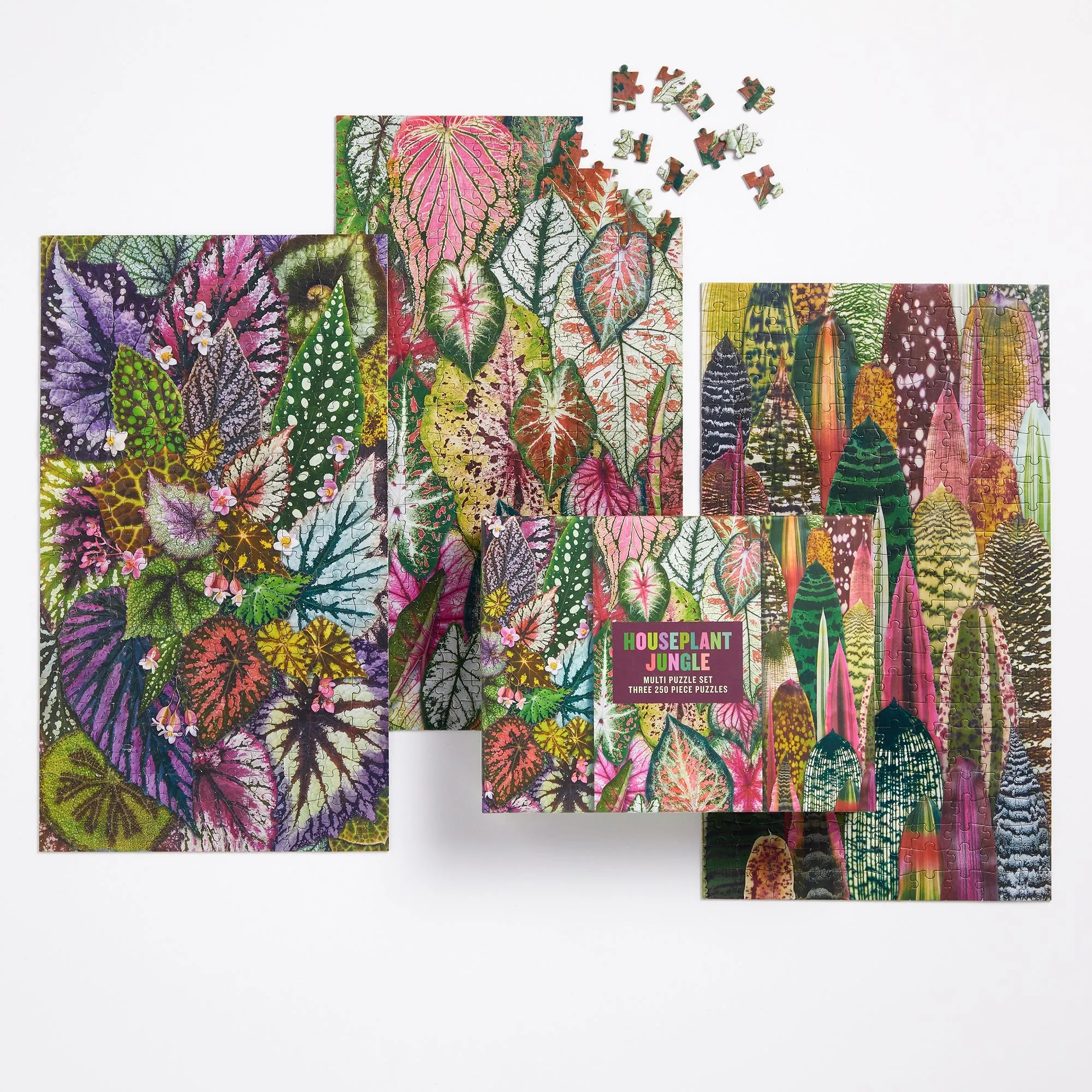 Houseplant Jungle Multi Puzzle Set