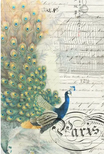 PEACOCK EPHEMERA LEFT ROCYCLED DECOUPAGE TISSUE PAPER