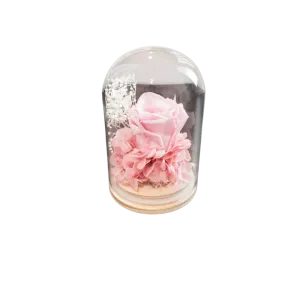 PRESERVE ROSE IN DOME 8X12CM PINK