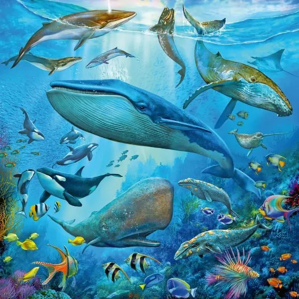 Ravensburger  Ocean Life Puzzle 3x49pc