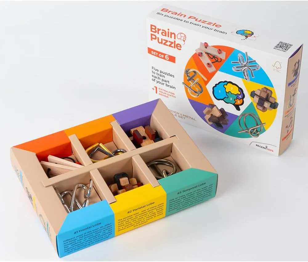 Recent Toys Brain Puzzle Set of 6 - Brainteasers - Riddles