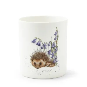 Wrendale Designs 14cm Hedgehog Utensil Jar